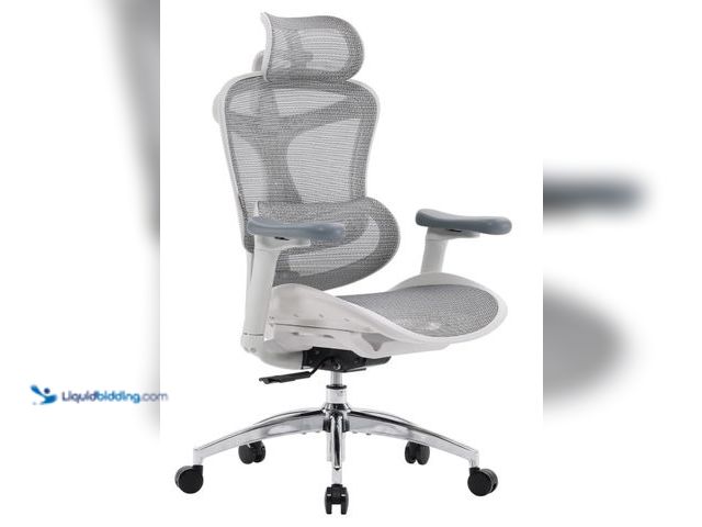 Lot 49-1516362 - SIHOO Doro C300 Ergonomic Office Chair with 3D Armrests, Dynamic Lumbar Support, and Seat Depth Adju...