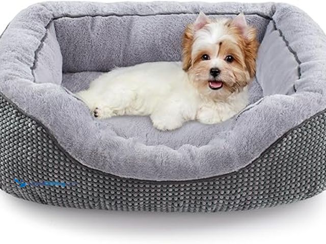 Lot 49-5415542 - INVENHO Dog Bed for Small Dogs - Washable, Orthopedic, Calming & Warming - Durable Pet Bed with Anti...