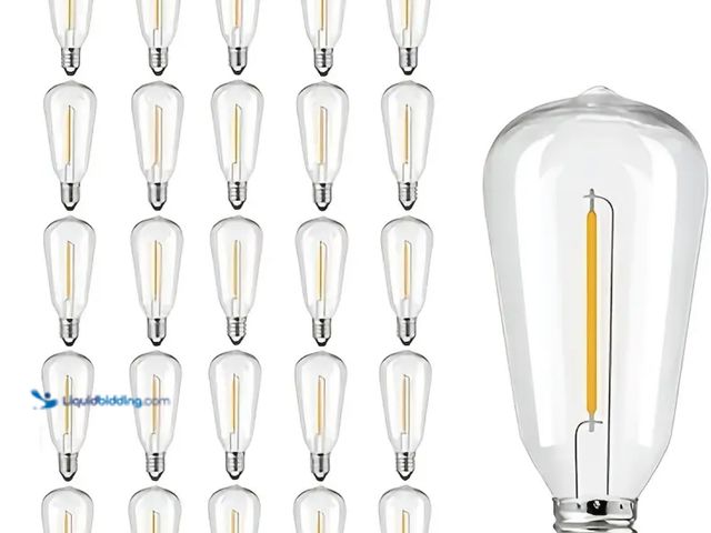 Lot 49-1814423 - New 25 Pack ST38 LED Light Bulbs, Outdoor String Light Replacement Bulbs