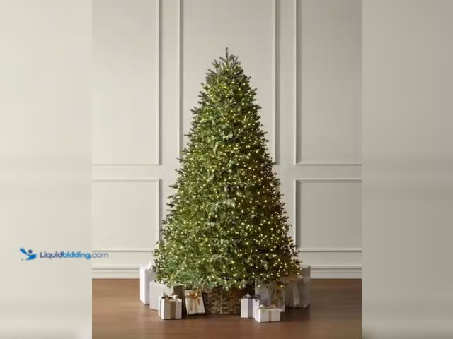 Lot 49-1546929 - Home Decorators Collection 7.5 ft. Elegant Twinkling Grand Fir LED Pre-Lit Artificial Christmas Tree...
