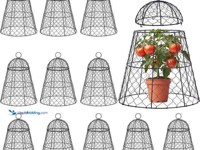 Lot 49-5553188 - Sadnyy 12 Pack Garden Chicken Wire Cloche, 13" W X 15.7" H Plant Protectors and Covers, Wire Garden ...