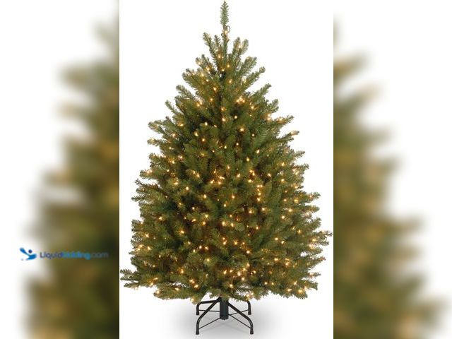 Lot 49-5410737 - National Tree Company Pre-Lit Artificial Mini Christmas Tree, Green, Dunhill Fir, White Lights, Incl...