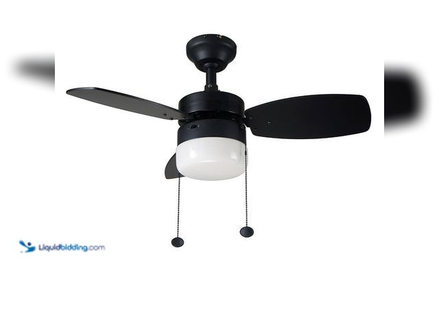 Lot 49-3529003 - Hampton Bay
Triplicity 30 in. Indoor LED Matte Black Ceiling Fan with Light (attachments included) ...