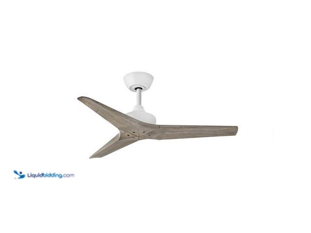 Lot 49-2021904 - HINKLEY Chisel 44 in. Indoor/Outdoor Matte White Ceiling Fan with Wall Switch. Model # 903744FMW-NDD...