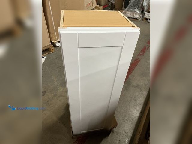 Lot 49-5463773 - 42-1/4 H x 15" W x 13" L White Cabinet nused