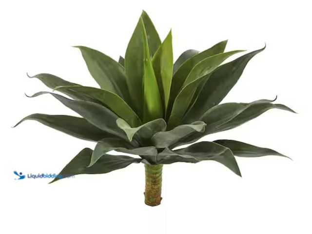 Lot 49-2001064 - Set of (2) Nearly Natural Indoor 19 Large Agave Artificial Plant, Model # 6210-S2, Unused.   Ref#SB0...