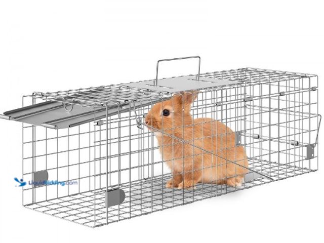 Lot 49-3631273 - VEVOR Live Animal Cage Trap, 24" x 8" x 8" Humane Cat Trap Galvanized Iron, Folding Animal Trap with...