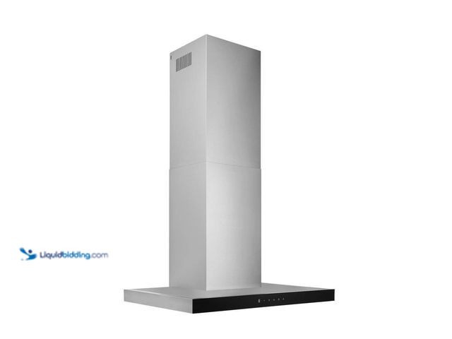 Lot 49-5432138 - Broan-NuTone 30-in. Convertible Wall-Mount T-Style Chimney Range Hood, 450 Max CFM, Stainless Steel ...