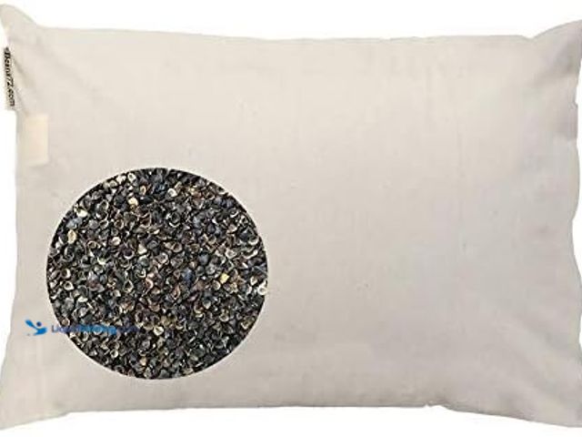 Lot 49-3528289 - Beans72 Organic Buckwheat Pillow - Queen Size (20 inches x 30 inches) Made in USA. [Model: B000F1FL9...