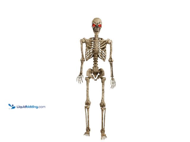 Lot 49-5437490 - Home Accents Holiday 5 ft. LED Pose-N-Stay Pitted Skeleton. [Model # 22PA60156] Unused