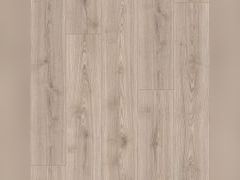 Lot 49-5519371 - undefined