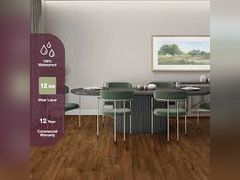 Lot 49-5475393 - undefined