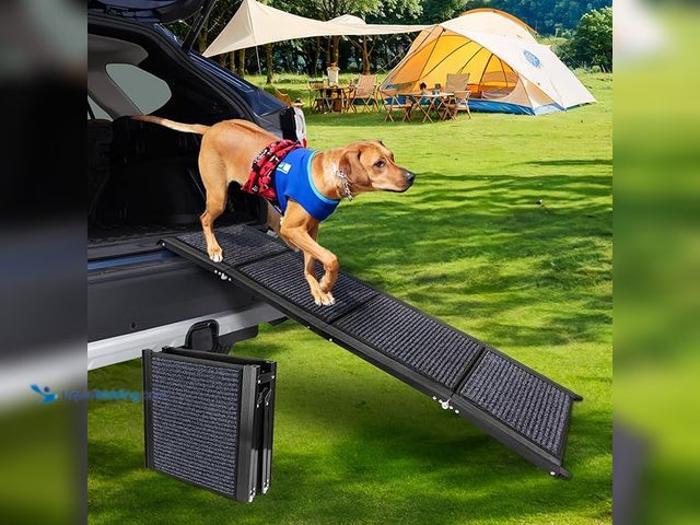Lot 49-3523671 - Dog Ramp for Car, 63"x17" Foldable Car Ramp for Dogs, Dog Car Dog Ramps for Large Dogs SUV, Car Dog ...