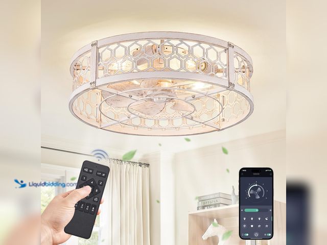 Lot 49-5416476 - LEDIARY 20" Caged Ceiling Fan with Light, Small Flush Mount Ceiling Fan with App&Remote, Low Profile...