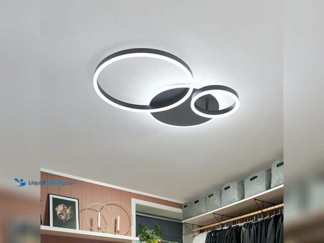 Lot 49-5477819 - O'NEELDY Modern Dimmable LED Flush Mount Ceiling Light Remote Control Acrylic Ring Chandelier, 48W 3...