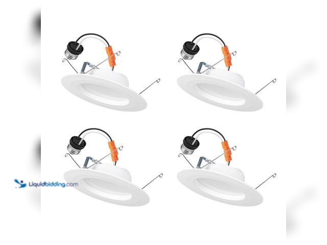 LiquidBidding - Lot 49-5464819 - Commercial Electric 5/6 in