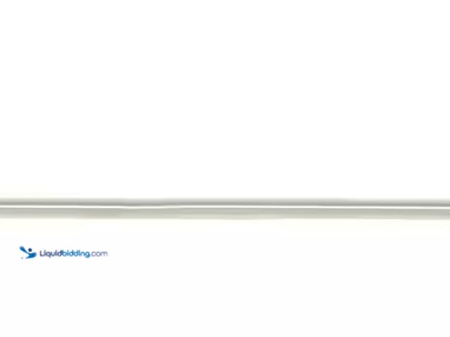 Lot 49-1515855 - SEACHROME 48 in. Coronado Designer Wall Mount Bathroom Shower Grab Bar, 1-1/2 in. Dia Oval Bar in Po...