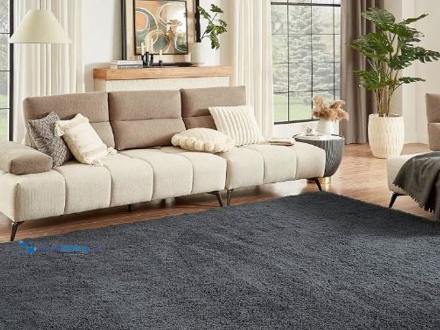 Lot 49-5436658 - Floralux Area Rugs 9x12 Living Room, Dark Grey, Large Shag Rug Bedroom Rug, Ultra Soft Shaggy Fluffy...
