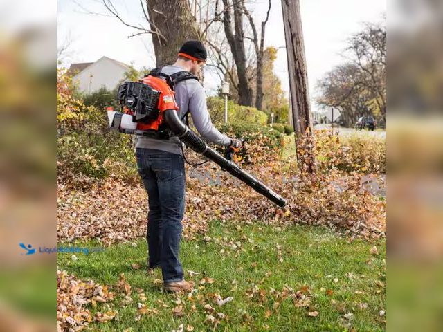 Lot 49-1567967 - ECHO 216 MPH 517 CFM 58.2cc Gas 2-Stroke Backpack Leaf Blower with Tube Throttle, Model # PB-580T, U...