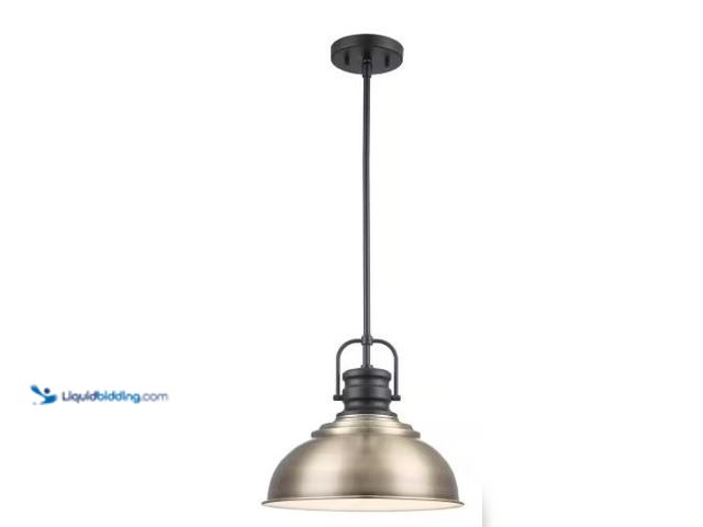 Lot 49-1516677 - Home Decorators Collection Shelston 13 in. 1-Light Antique Gold and Black Farmhouse Pendant Light Fi...