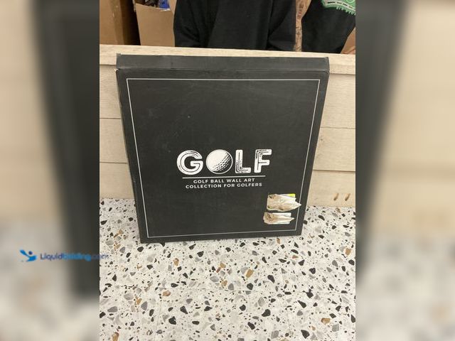 Lot 49-5437809 - Golf Ball Collection. Golf Ball Display Wall Art. [Model:  Shinlar.inc] Unused.