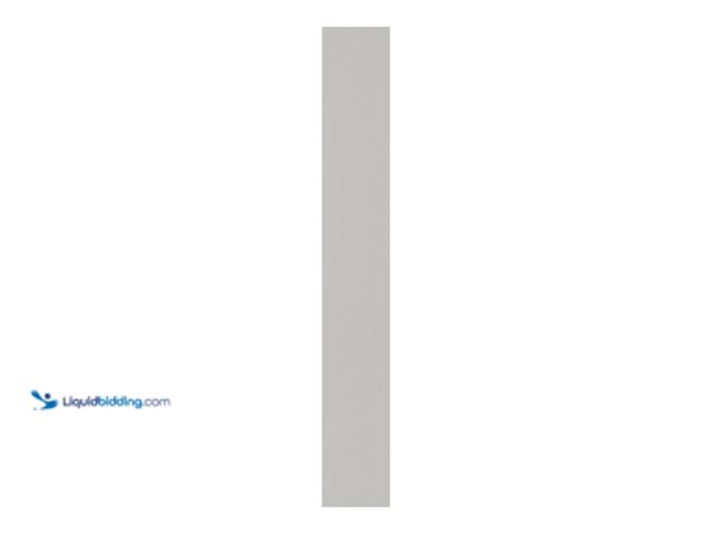 Lot 49-5484866 - Hampton Bay
Avondale 6 in. W x 42 in. H Cabinet Filler in Dove Gray Unused