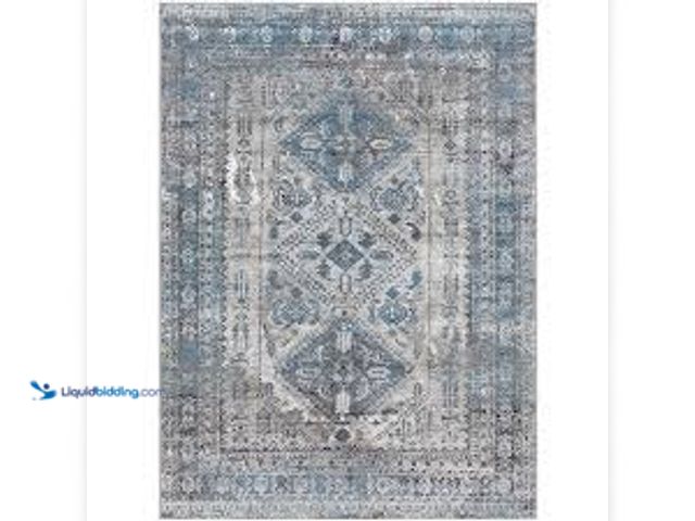 Lot 49-5543928 - Livabliss Monte Carlo MNC-2312 Area Rug, 2 Ft. 7 In x 13 Ft. 11 In. Item #145652. unused