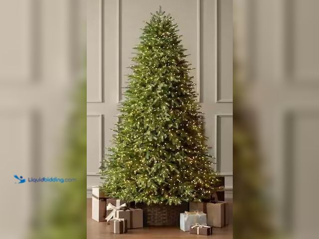 Lot 49-5460651 - Home Decorators Collection
7.5 ft. Grand Duchess Twinkling Balsam Fir LED Pre-Lit Artificial Christ...