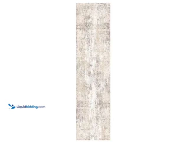 Lot 49-1631116 - HaiiMeid Van Gogh Beige/Grey 2 ft. x 8 ft. Modern Abstract Area Rug, Model # X24IU0057H-228, Unused....
