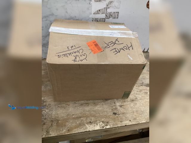 Lot 49-5448988 - Gold Round Flush Mount Ceiling Light. Used