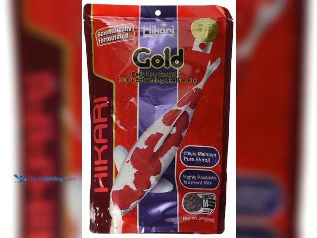 Lot 49-1517435 - (2) Hikari USA Inc AHK02342 Gold 17.6-Ounce, Medium, Model #B0D9LB3R5H, Unused.  Ref#MTMED0624