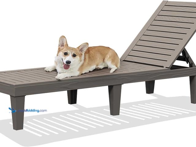 Lot 49-3527523 - DIMAR GARDEN Outdoor Chaise Lounge,Resin Pool Lounge Chair Waterproof Recliner, Taupe (scuffs and sc...