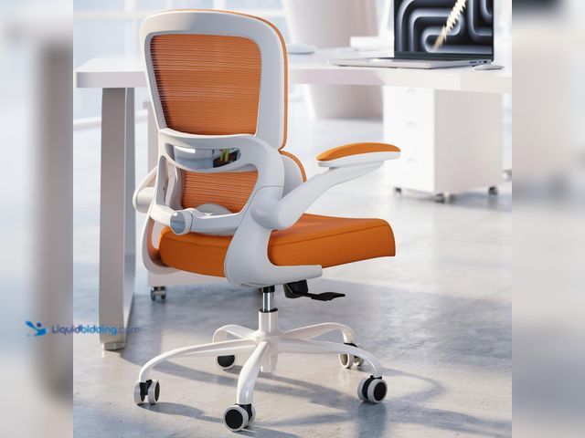 Lot 49-5549574 - TRALT Office Chair - Ergonomic Desk Chair with Adjustable Lumbar Support, Mesh Computer Chair, Execu...