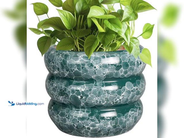 Lot 49-3527358 - SQOWL 8 Inch Pot for Plants Indoor - Ceramic Planter Medium Plant Pot with Drainage Hole Round Flowe...