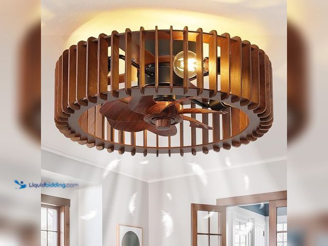 Lot 49-3480513 - mnikopE 20'' Flush Mount Caged Ceiling Fan with Light, Wooden Low Profile Ceiling Fan with Light and...