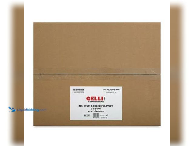 Lot 49-5572012 - Gelli Arts Gel Printing Plate - 16" x 20" x 3/8", Rectangle. Model: 350657745475878927. Unused