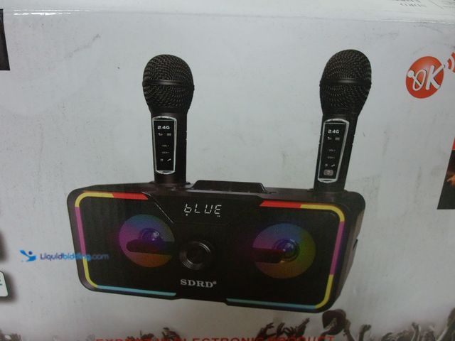 Lot 49-3482643 - SDRD Karaoke Machine for Adults & Kids – 2 Wireless Mics, Powerful Loud Sound, Bluetooth, Rechargeab...