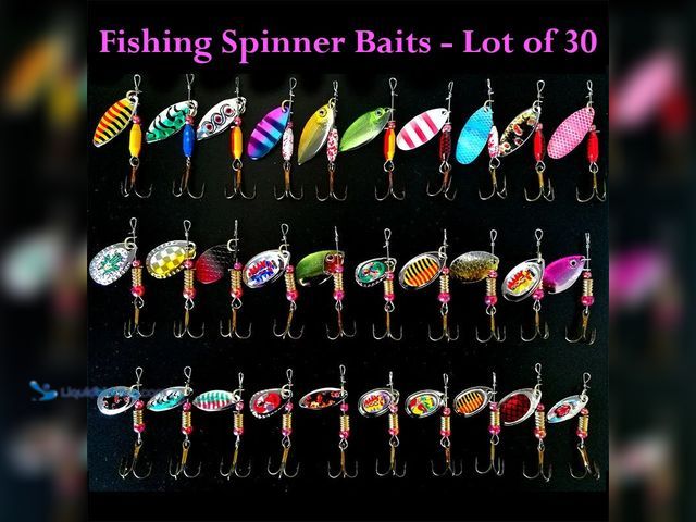 Lot 49-3435058 - Fishing Spinner Bait Lures 30 Piece Set Various Styles/Colors with Clear Plastic Case - NEW - Includ...