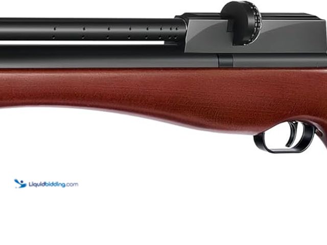Lot 49-5410937 - PINTY PCP Pellet Gun Air Rifle, 5.5 mm .22 Caliber Pellet Air Rifle for Adults, 10 Pellet PCP Air Gu...