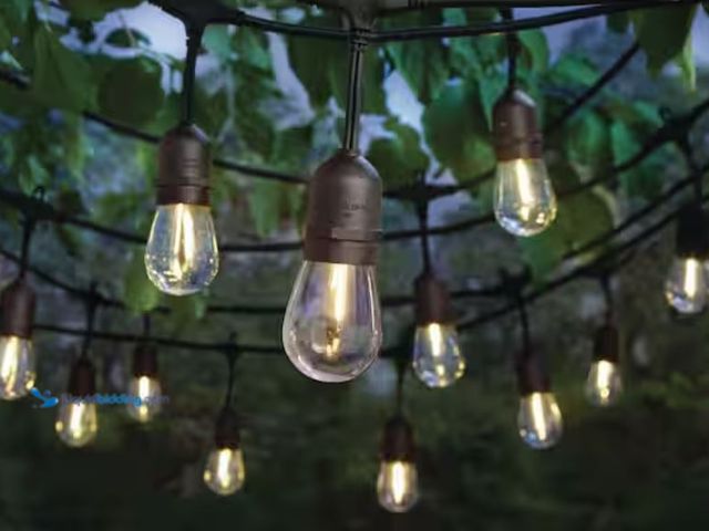 Lot 49-2000879 - Hampton Bay 24-Light 48 ft. Plug-in Indoor/Outdoor Edison Patio String Light with S14 Single Filamen...