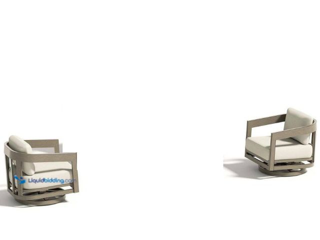 Lot 49-5552041 - PEAK HOME FURNISHINGS
Harmonti 2-Piece Aluminum Patio Swivel Conversation Set with Warm White Cushi...