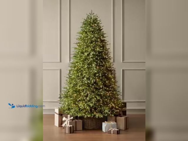 Lot 49-1544885 - Home Decorators Collection 7.5 ft. Grand Duchess Twinkling Balsam Fir LED Pre-Lit Artificial Christm...