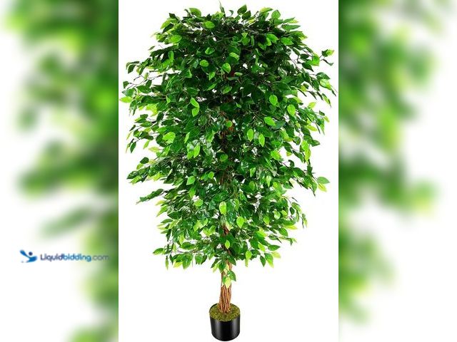 Lot 49-3528060 - 7ft Artificial Ficus Silk Tree (82in) with Plastic Nursery Pot Faux Tree, Fake Plant for Office Hous...