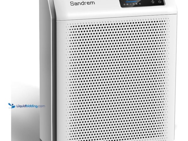 Lot 49-3431895 - Sanderm Air Purifier for Home HEPA 13 Filter with Particle Sensor | 300 CADR, Room Dust Eliminator|4...