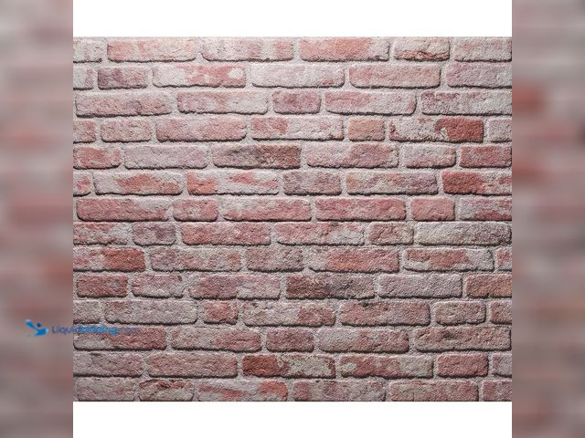 Lot 49-5484845 - WALL!SUPPLY
0.79 in. x 19.69 in. x 47.24 in. UltraLight Faux Brick Red-White HD Printed Jointless C...