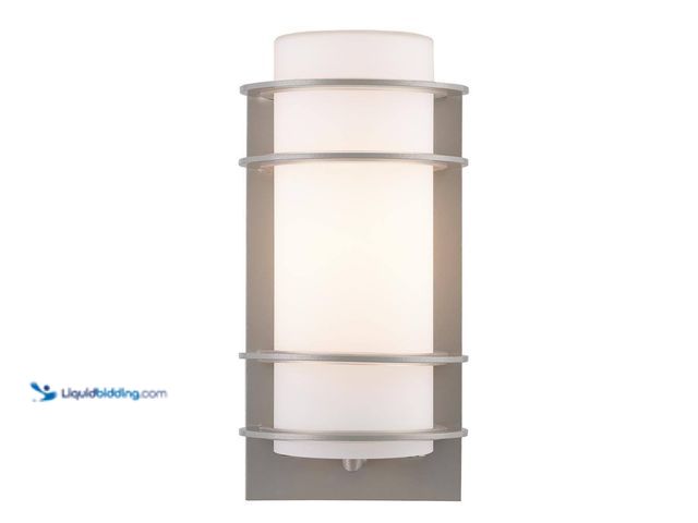 Lot 49-5449063 - Bel Air Lighting
Zephyr 11 in. 1-Light Silver Cylinder Outdoor Wall Light Fixture with Frosted Glas...