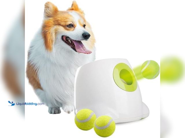 Lot 49-3482744 - ALL FOR PAWS Automatic Ball Launcher for Dogs Interactive Puppy Pet Ball Indoor Thrower Fetch Machin...