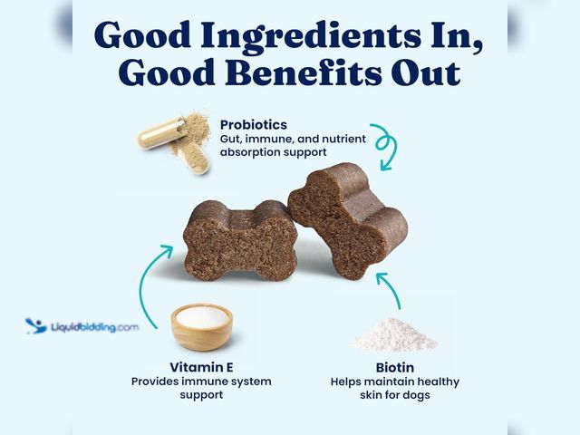 Lot 49-3540331 - QTY 2 - Solid Gold Dog Multivitamin - Soft Dog Vitamins & Supplements Chews - All-in-One Heart, Immu...