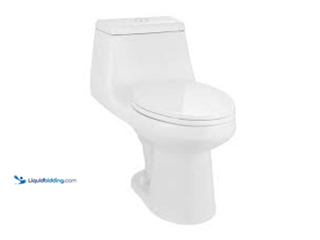 Lot 49-5459355 - Glacier Bay McClure 12 inch Rough In One-Piece 1.1 GPF/1.6 GPF Dual Flush Elongated Toilet in White ...