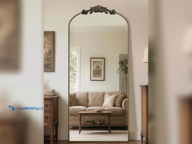 Lot 49-3465325 - Antok Arched Full Length Mirror, 71"x32" Floor Mirror with Carved, Full Body Mirrors for HomeDecor, ...